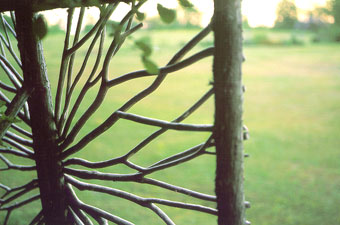 Butterfly Screen - Close-up