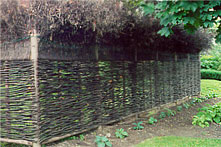 Wattle fence